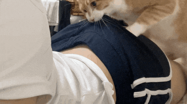 냥아 뭐해..