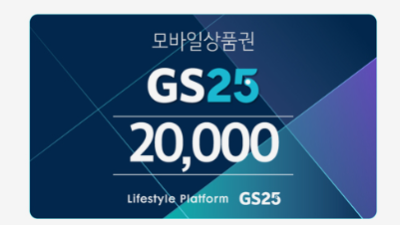 GS 20,000