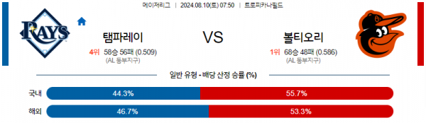 탬파.png