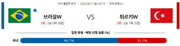 브라질.png