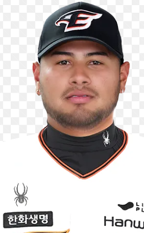 하임메.png