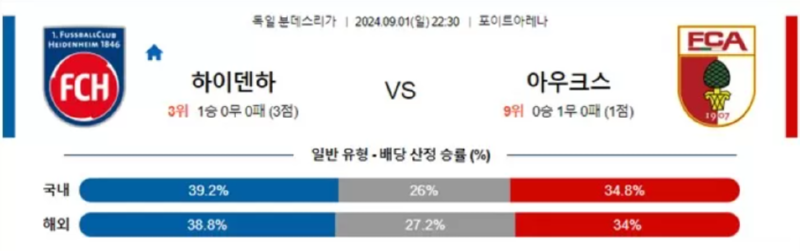 하이덴.png