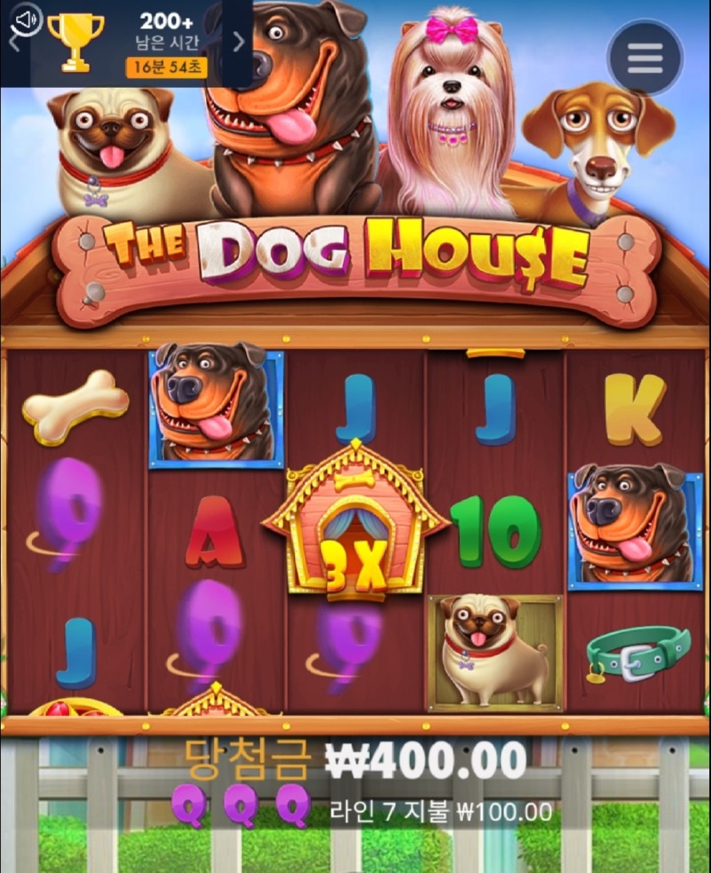 1000003182.jpg