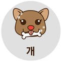 11.png