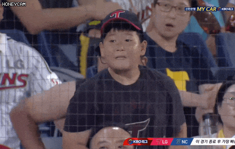 어린이 야구팬