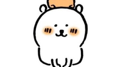 설날시작이네요